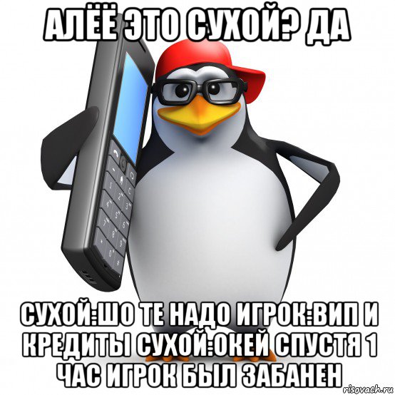 алёё это сухой? да сухой:шо те надо игрок:вип и кредиты сухой:окей спустя 1 час игрок был забанен, Мем   Пингвин звонит