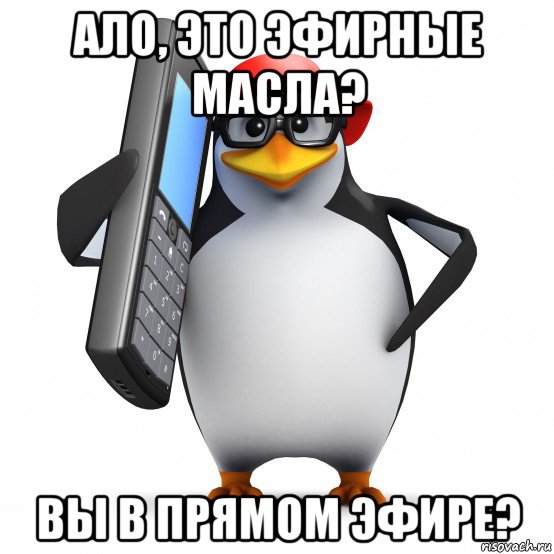 ало, это эфирные масла? вы в прямом эфире?, Мем   Пингвин звонит