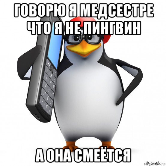 говорю я медсестре что я не пингвин а она смеётся, Мем   Пингвин звонит