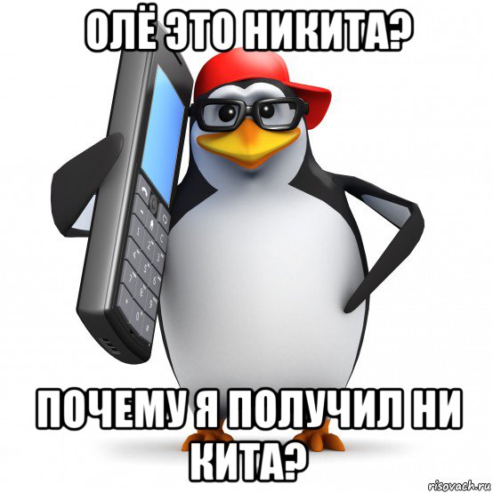 олё это никита? почему я получил ни кита?, Мем   Пингвин звонит