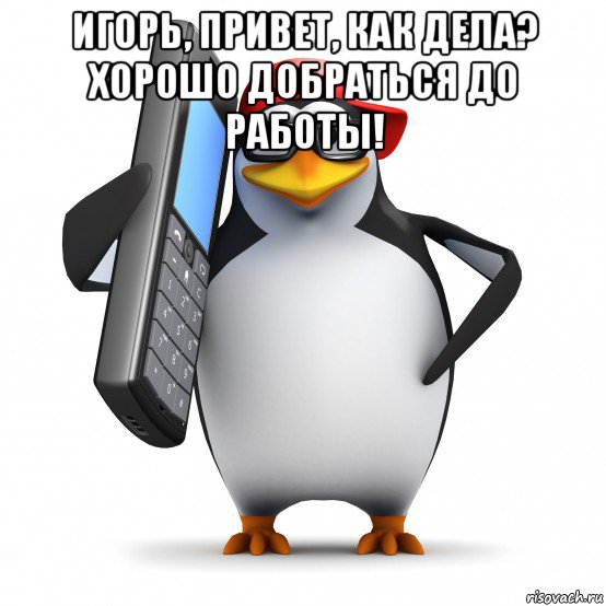 игорь, привет, как дела? хорошо добраться до работы! , Мем   Пингвин звонит