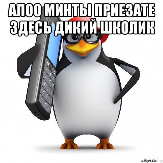 алоо минты приезате здесь дикий школик , Мем   Пингвин звонит