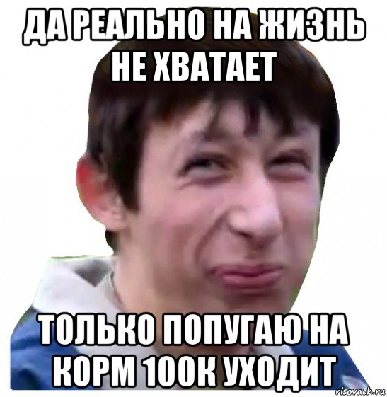 да реально на жизнь не хватает только попугаю на корм 100к уходит