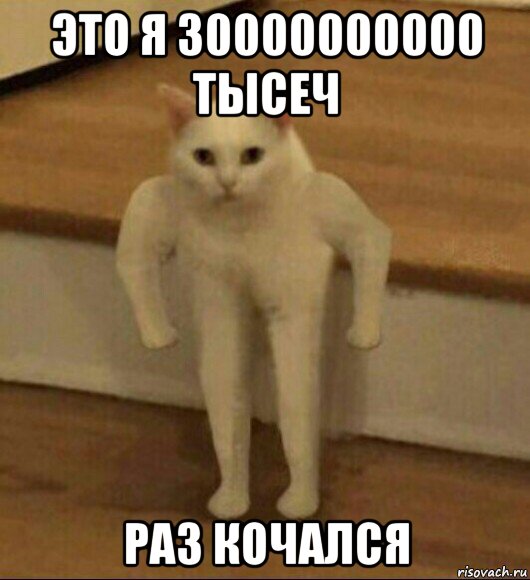 это я 30000000000 тысеч раз кочался, Мем  Полукот