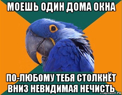 моешь один дома окна по-любому тебя столкнёт вниз невидимая нечисть, Мем Попугай параноик