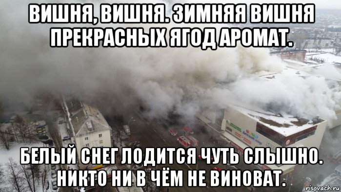 вишня, вишня. зимняя вишня прекрасных ягод аромат. белый снег лодится чуть слышно. никто ни в чём не виноват., Мем Пожар в Кемерове