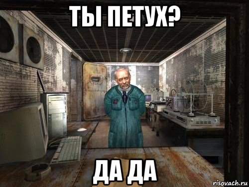 ты петух? да да