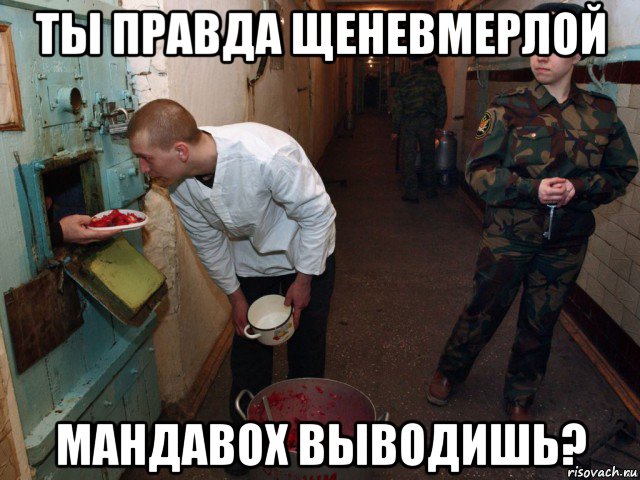 ты правда щеневмерлой мандавох выводишь?