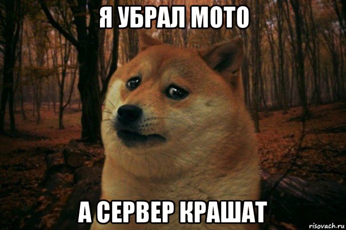 я убрал мото а сервер крашат, Мем SAD DOGE