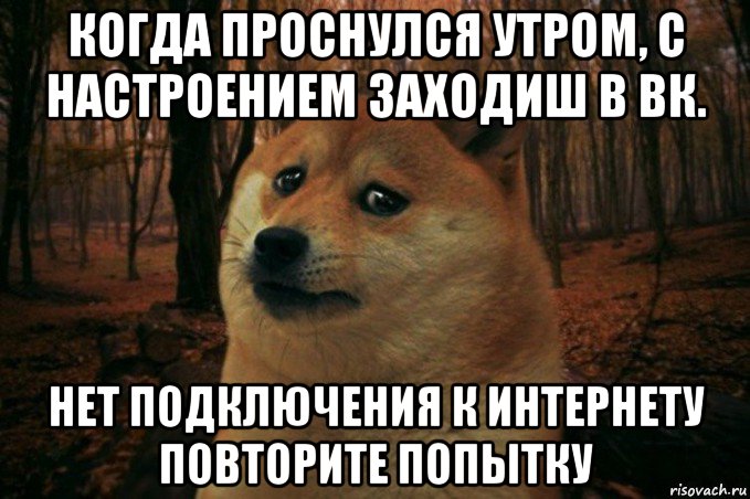 когда проснулся утром, с настроением заходиш в вк. нет подключения к интернету повторите попытку, Мем SAD DOGE