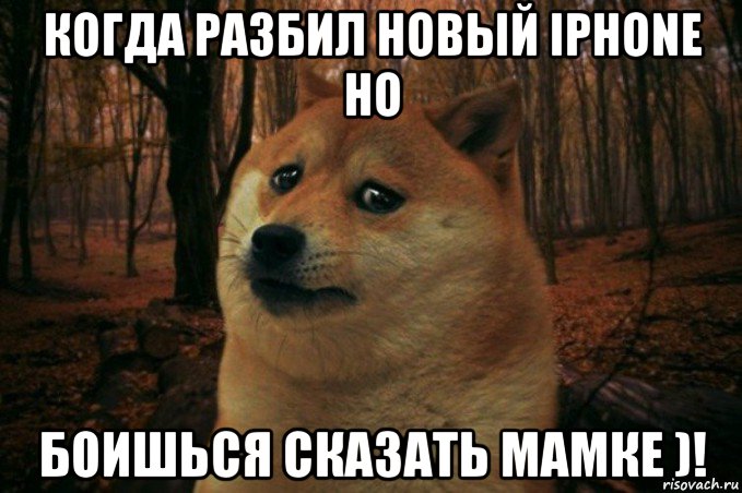 когда разбил новый iphone но боишься сказать мамке )!, Мем SAD DOGE