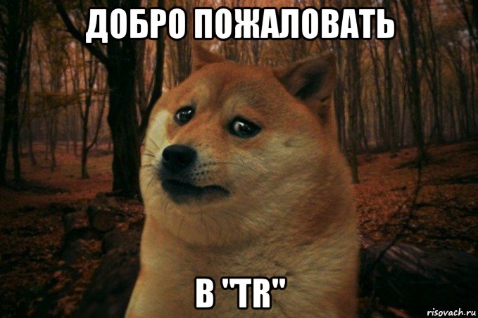 добро пожаловать в "tr", Мем SAD DOGE