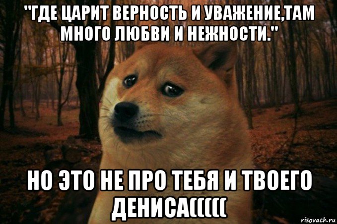 "где царит верность и уважение,там много любви и нежности." но это не про тебя и твоего дениса(((((, Мем SAD DOGE