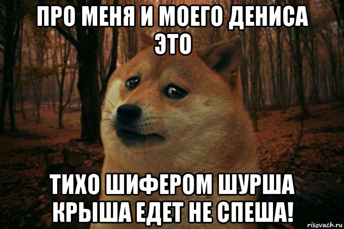 про меня и моего дениса это тихо шифером шурша крыша едет не спеша!, Мем SAD DOGE