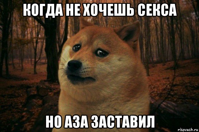 когда не хочешь секса но аза заставил, Мем SAD DOGE