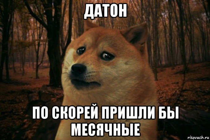 датон по скорей пришли бы месячные, Мем SAD DOGE