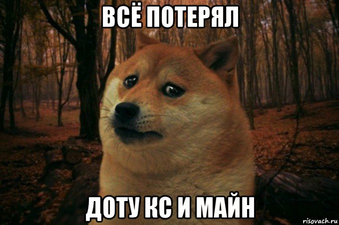 всё потерял доту кс и майн, Мем SAD DOGE