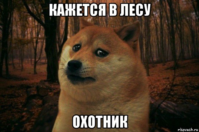 кажется в лесу охотник, Мем SAD DOGE