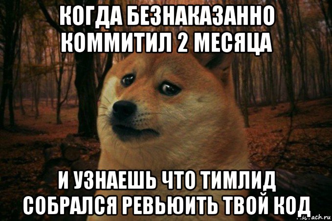 когда безнаказанно коммитил 2 месяца и узнаешь что тимлид собрался ревьюить твой код, Мем SAD DOGE