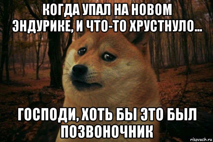 когда упал на новом эндурике, и что-то хрустнуло... господи, хоть бы это был позвоночник, Мем SAD DOGE