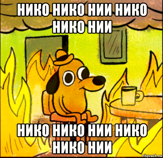 нико нико нии нико нико нии нико нико нии нико нико нии, Мем СОБАКА В ОГНЕ