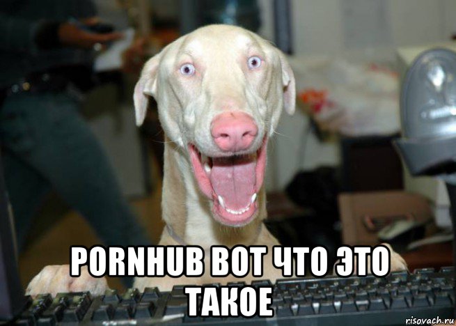 pornhub вот что это такое