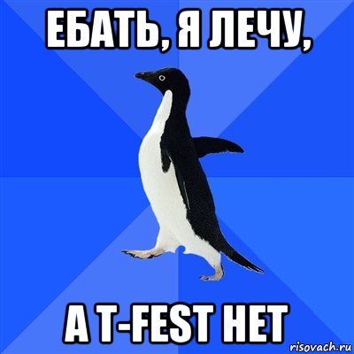 ебать, я лечу, а t-fest нет, Мем  Социально-неуклюжий пингвин