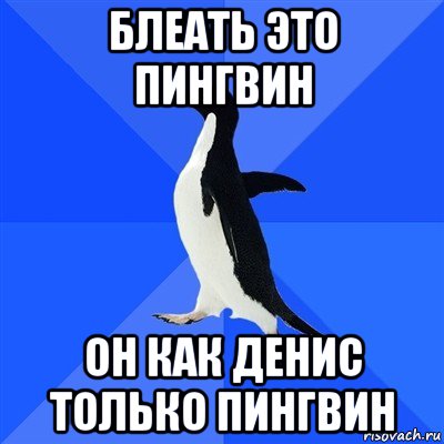 блеать это пингвин он как денис только пингвин, Мем  Социально-неуклюжий пингвин