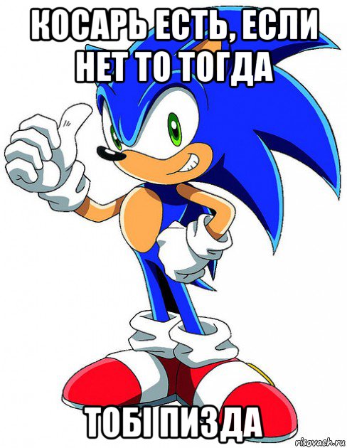 косарь есть, если нет то тогда тобi пизда, Мем Sonic X