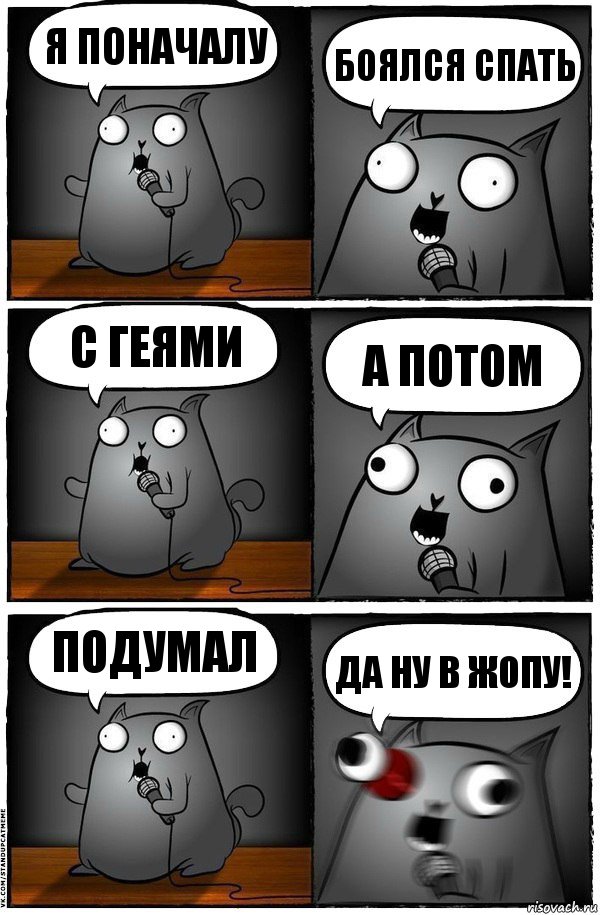 Я поначалу боялся спать с геями а потом подумал да ну в жопу!, Комикс  Стендап-кот