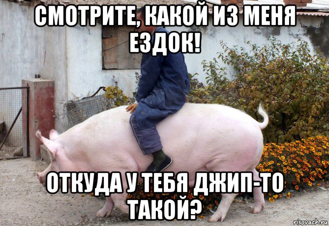 смотрите, какой из меня ездок! откуда у тебя джип-то такой?