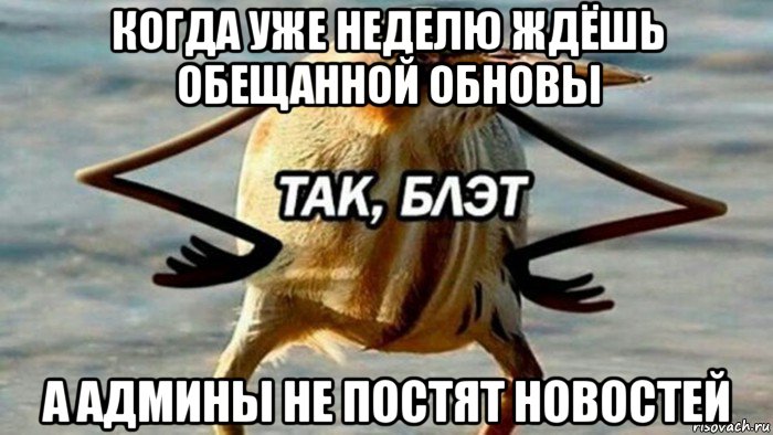 когда уже неделю ждёшь обещанной обновы а админы не постят новостей, Мем  Так блэт