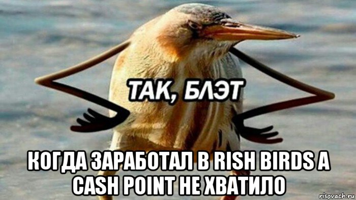  когда заработал в rish birds а cash point не хватило, Мем  Так блэт