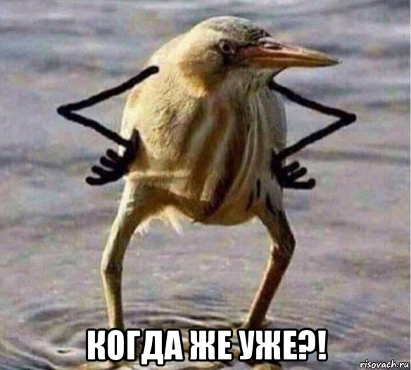  когда же уже?!, Мем Так Блэт