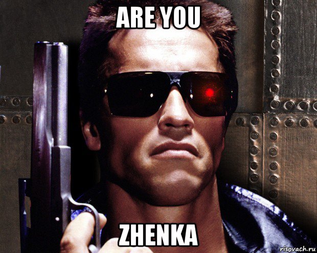 are you zhenka, Мем   терминатор