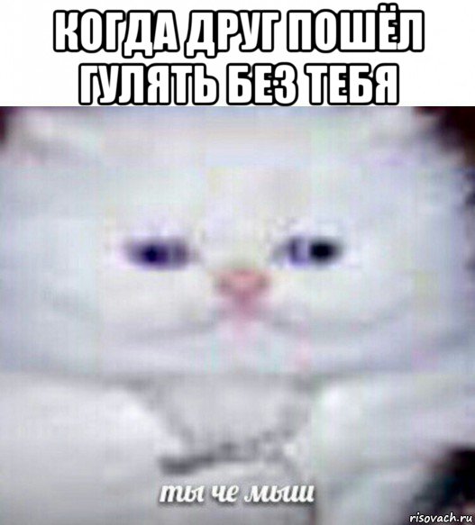 когда друг пошёл гулять без тебя 