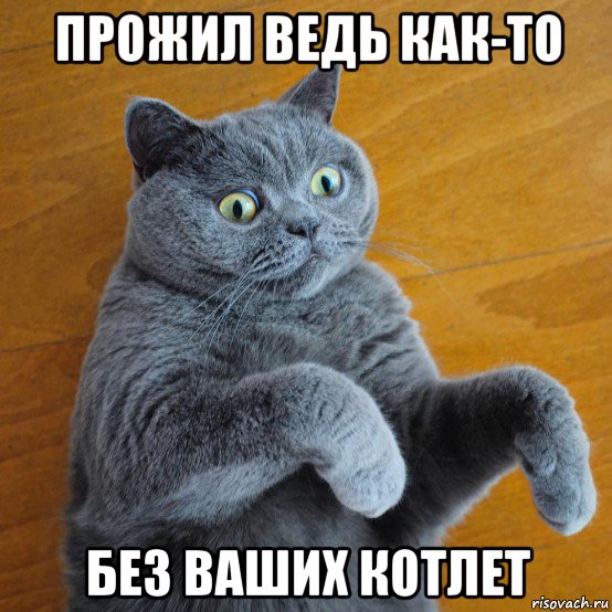 прожил ведь как-то без ваших котлет