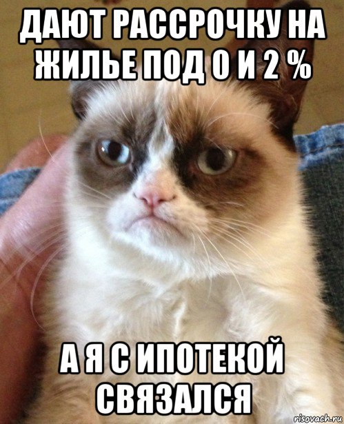 дают рассрочку на жилье под 0 и 2 % а я с ипотекой связался, Мем Угрюмый кот