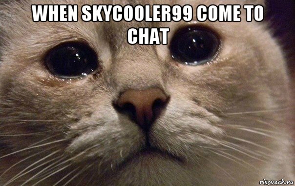 when skycooler99 come to chat , Мем   В мире грустит один котик