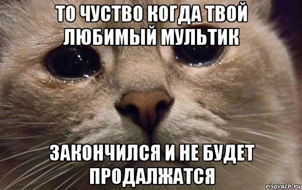 то чуство когда твой любимый мультик закончился и не будет продалжатся, Мем   В мире грустит один котик