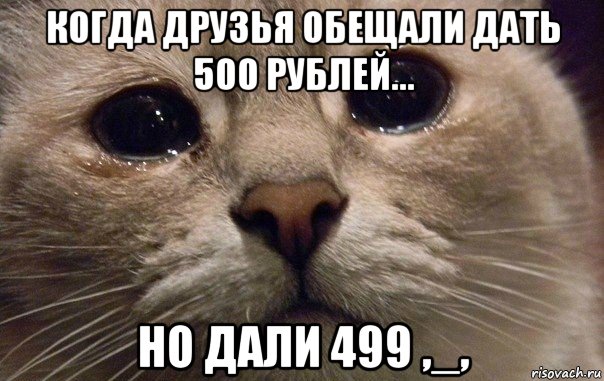 когда друзья обещали дать 500 рублей... но дали 499 ,_,, Мем   В мире грустит один котик