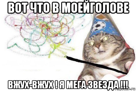 вот что в моейголове вжух-вжух ! я мега звезда !!!, Мем Вжух мем