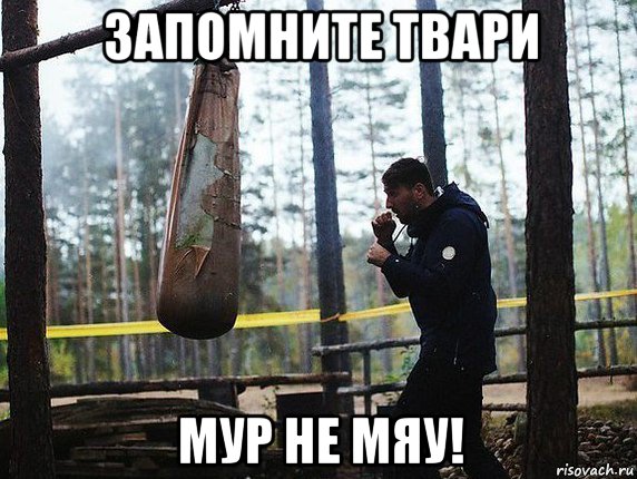 запомните твари мур не мяу!