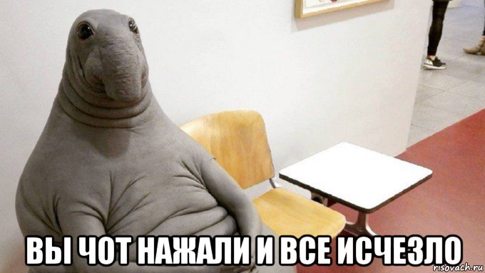  вы чот нажали и все исчезло