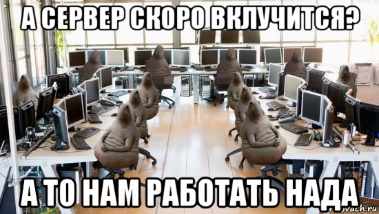 а сервер скоро вклучится? а то нам работать нада