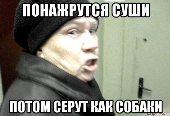 понажрутся суши потом серут как собаки