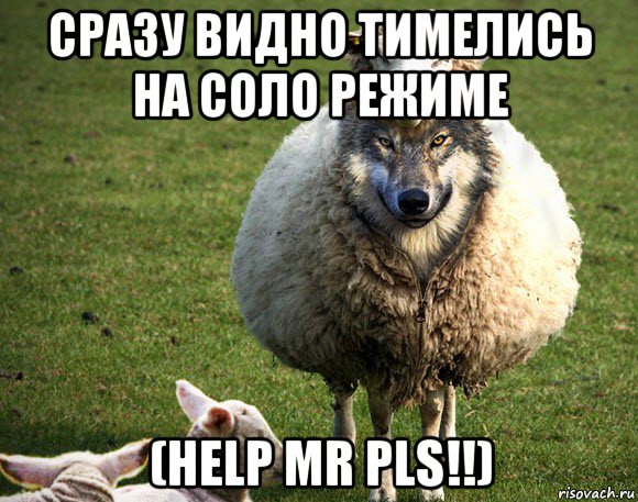 сразу видно тимелись на соло режиме (help mr pls!!), Мем Злая Овца