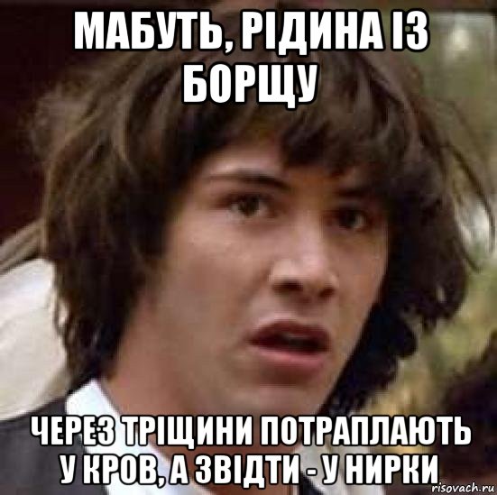 мабуть, рідина із борщу через тріщини потраплають у кров, а звідти - у нирки, Мем А что если (Киану Ривз)