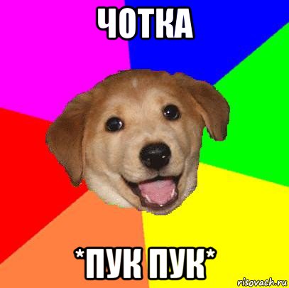 чотка *пук пук*, Мем Advice Dog