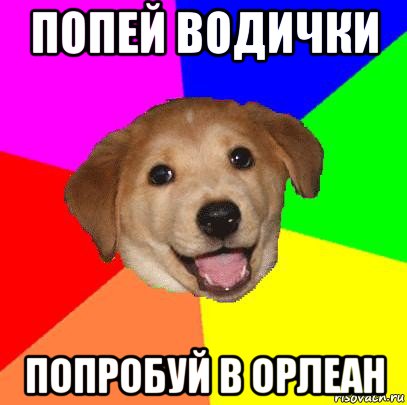 попей водички попробуй в орлеан, Мем Advice Dog